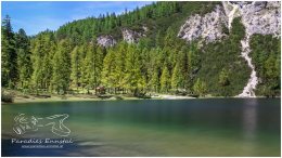 Ahornsee_21_R2A5767-1_06_17