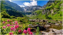 Obersee_Almrausch_21__A1_1901-HDR_07_04