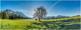 Frühling_Sonne_Grimming_21__R2A2992005-Pan.-1_05_06