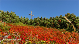 Hirzberg, Gröbming, Wandern, Paradies Ennstal